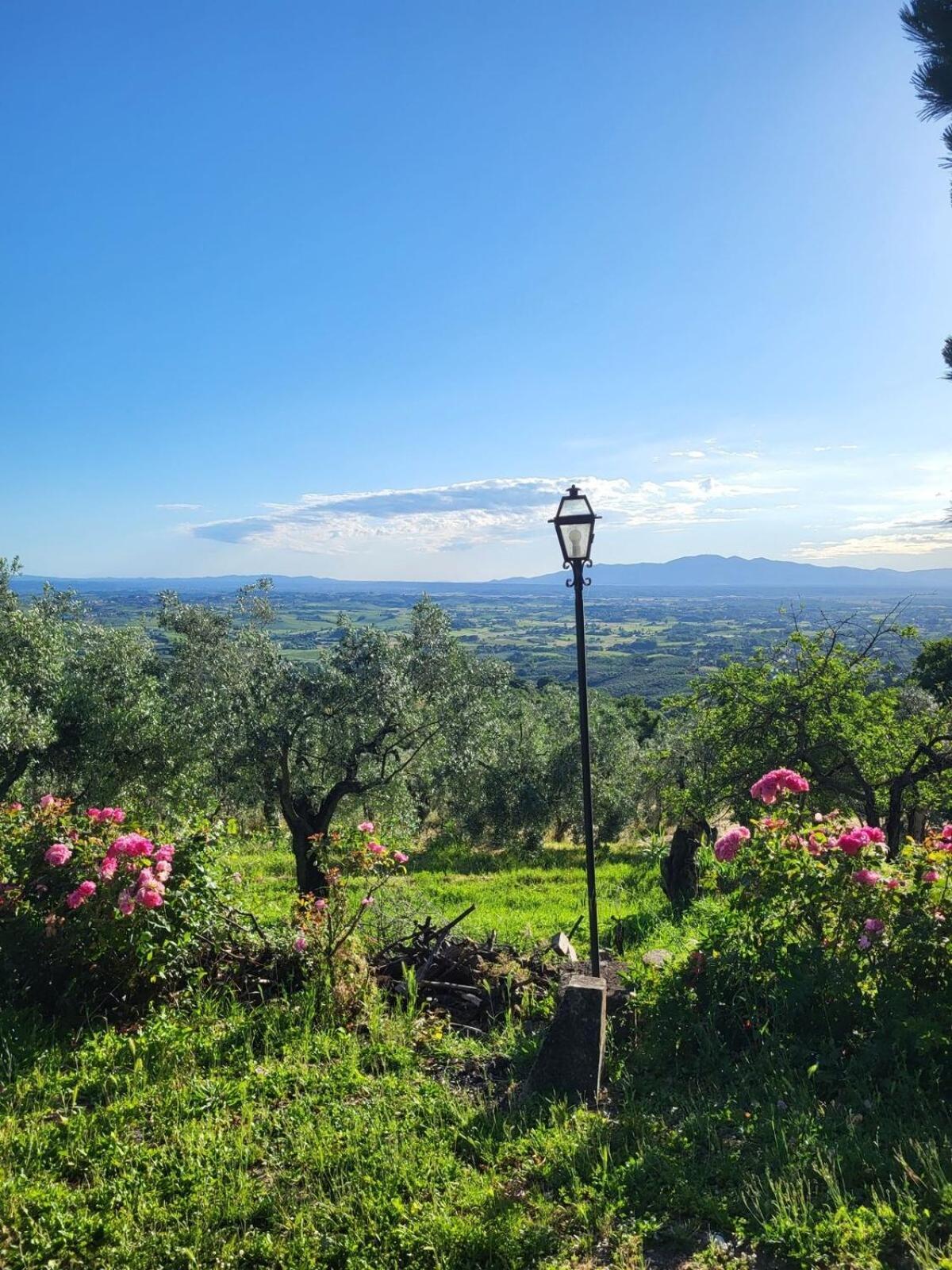 Agriturismo La Gioconda Vinci Exterior foto